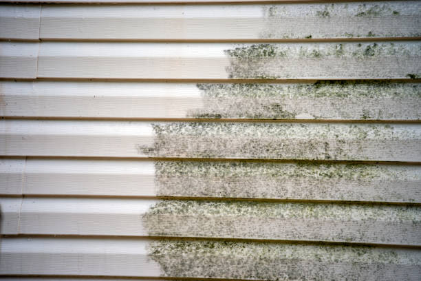 Best Furniture Removal  in Black Jack, MO