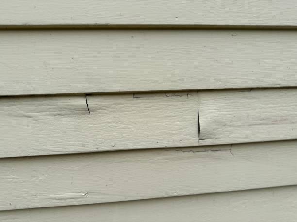 Best Foreclosure Cleanout  in Black Jack, MO